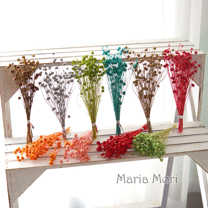 5g Konserwowane Fasola Lniana  – Dried Flower Bulk recenzja i cena